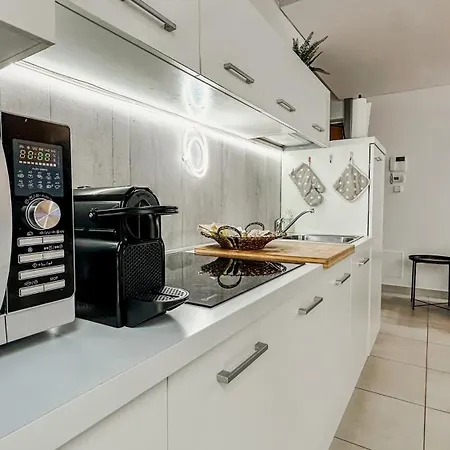 Apartment Loft Di Design Con Garage E Area Fitness Turin